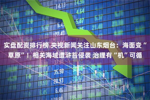 实盘配资排行榜 央视新闻关注山东烟台：海面变“草原”！相关海域遭浒苔侵袭 治理有“机”可循